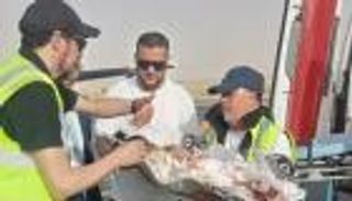  التوأم السيامي الملتصق بالجزائر.. عملية فصل خارج الوطن