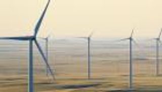 أكبر محطة للطاقة الشمسية في العالم تدخل الخدمة.. إنتاجها يكفي دولة لمدة عام