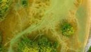 الكوكب يحتاج لإزالة 9 مليارات طن كربون سنويا.. 4 أضعاف الوتيرة الحالية 