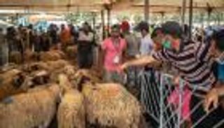 مفاجآت تؤثر على سوق الأضاحي في المغرب.. «لغز اليومين» والأسعار أبرزها