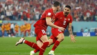 فلاهوفيتش وميتروفيتش