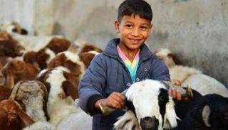 شرح الأضحية للأطفال