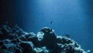 «سلام مع المحيط».. 26 دولة توقع إعلانا فريدا للهدنة مع الطبيعة