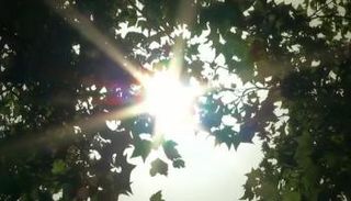 درجات حرارة مرتفعة في تونس- أرشيفية