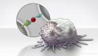بتقنية النانو.. سلاح مناعي مزدوج لقتل خلايا سرطان الرئة