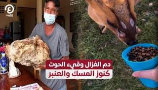 دم الغزال وقيء الحوت