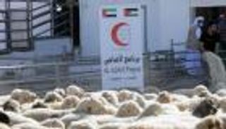 لدعم اللاجئين السوريين.. الهلال الأحمر الإماراتي ينفذ مشروع الأضاحي في الأردن