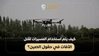 الصين تستعين بالطائرات لقتل الآفات الزراعية