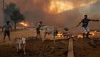 11 قتيلا بحرائق الغابات في تركيا