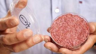 لحوم مزروعة في المختبر