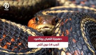 الثعبان رونالدو