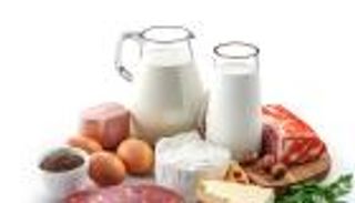 خريطة استهلاك البروتينات في قارات العالم.. «النباتي» ملك الموائد