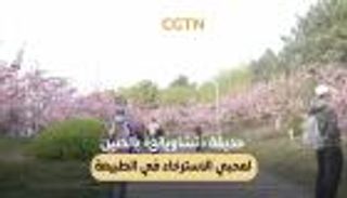 حديقة «تشاويانغ» بالصين لمحبي الاسترخاء في الطبيعة