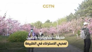 حديقة «تشاويانغ» بالصين