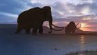 حل لغز انقراض الحيوانات الضخمة قبل 50 ألف سنة