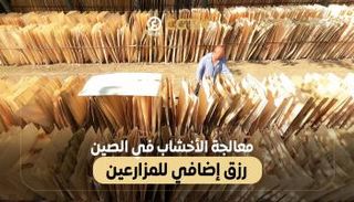 معالجة الأخشاب في الصين رزق إضافي للمزارعين