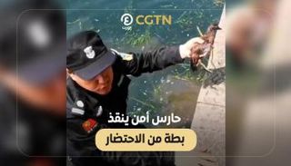 حارس الأمن بعد إخراجه البطة من الماء