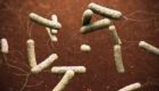 مؤشر خطير.. تسجيل آلاف الإصابات بالكوليرا في العالم