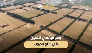 الصين تتوسع في زراعة الحبوب