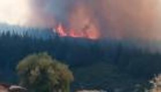 4 حرائق غابات في تونس.. والأسباب غير معروفة (خاص)