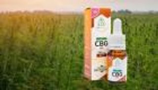 حشيش بدون انتشاء لتقليل القلق والتوتر.. السر في «كانابيجيرول»