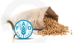 أسعار الغذاء العالمية.. تراجع طفيف في يوليو 2024 