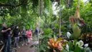 زهرة الجثة العملاقة.. لماذا يلجأ الآلاف لشم رائحتها القذرة؟