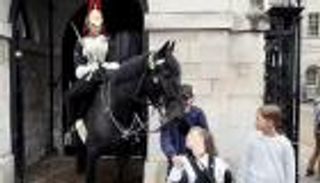 حصان الملك تشارلز.. شاهد كيف تعامل مع فتاة من ذوي الهمم (فيديو)