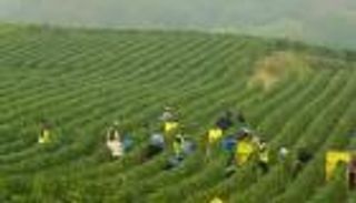 المزارع في أوروبا تحت الملاحظة.. هل تتوقف الانبعاثات؟