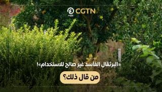  «البرتقال الفاسد غير صالح للاستخدام»! من قال ذلك؟