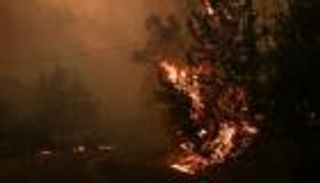 حرائق ضخمة تجتاح الجزائر.. 3 أيام من النار (فيديو)