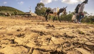 جفاف في تونس- أرشيفية