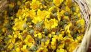 «القريدفة».. زهرة شتوية تجسد الموروث الغذائي في تونس (خاص)