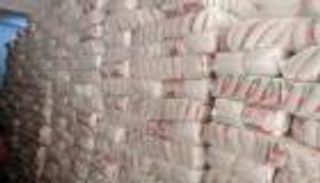 الحكومة المصرية تحصن محصول السكر.. ودعوة صحية للمواطنين