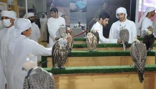 معرض أبوظبي الدولي للصيد الفروسية