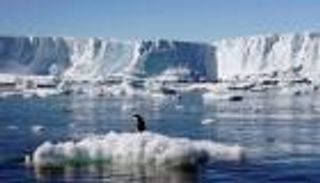 مخاوف من انتشار جائحة مميتة.. اكتشاف 1700 فيروس غير معروف 