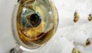 «مصيدة الزيتون السائل».. علماء يضيقون الخناق على أشباح الكون