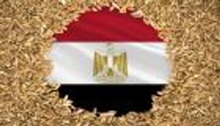 القمح يكفي 6 أشهر.. مصر في حوار مفتوح نحو الكميات الآمنة