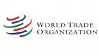 30 عاماً لـ«التجارة العالمية».. دور حاسم في تقليص الفقر وتحقيق الرخاء