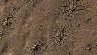  تكوين يشبه "العناكب" على سطح  المريخ 