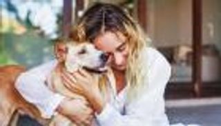 136.8 مليار دولار إنفاق الأمريكيين سنوياً على تربية القطط والكلاب.. لماذا؟