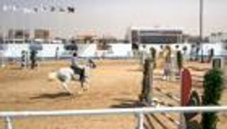 لمدة 4 أيام.. «عمر المختار» يجمع 230 فارسا من مدن ليبيا كلها