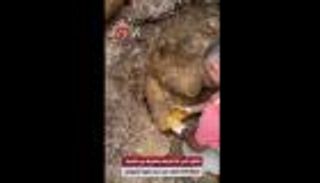 عمرها 109 أعوام.. العثور على 18 قذيفة غير منفجرة في جاليبولي التركية (فيديو)