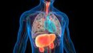 لماذا تشيخ بعض الأعضاء أسرع من غيرها؟ علماء يكتشفون السر