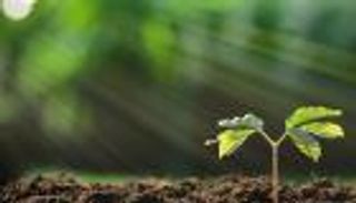 المناخ والأسعار في جنوب شرق آسيا.. علاقة جامحة تهدد الأمن الغذائي