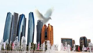 في يومه العالمي.. الإمارات رائدة سلام 