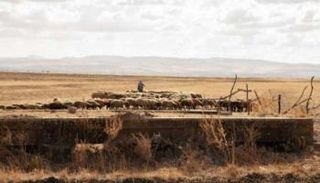 مشهد من فيلم «الشهيلي»