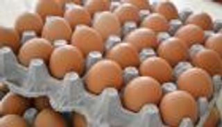 جنون أسعار البيض في مصر.. هل تنجح حملة المقاطعة بضبط السوق؟