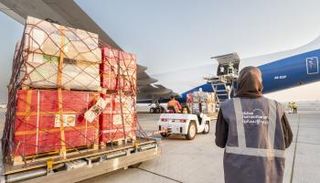 مساعدات طبية إماراتية إلى غزة