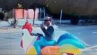 شرطة سان فرانسيسكو ترتدي زي دجاجة لضبط السائقين المسرعين (فيديو)